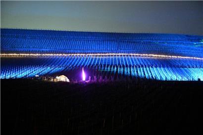 Weinberg unter blauem Himmel mit grünen Reben und sonnigem Herbsttag, idyllische Landschaft in Weinregion