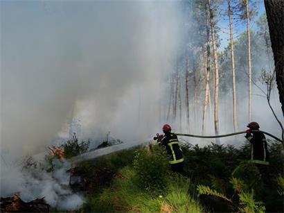 Feuerwehrleute bekämpfen einen Brand in der Nähe von Lacanau, während außerhalb von Bordeaux Waldbrände wüten