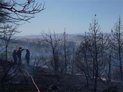 Feuerwehrleute löschen einen Flächenbrand bei Athen