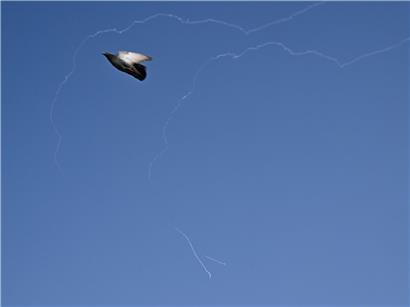 Friedenstaube fliegt vor blauem Himmel über Dubai mit Rauchspuren abgefangener iranischer Raketen.