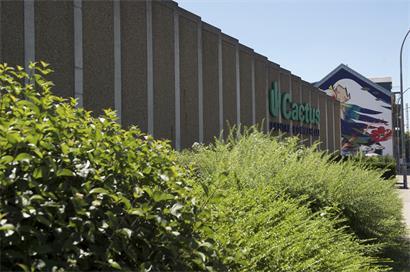 Früher gab es in diesem Cactus-Supermarkt Lebensmittel, heute Kunst: Die Galerie Go Art weicht derzeit auf den leerstehenden Drink-Shop aus