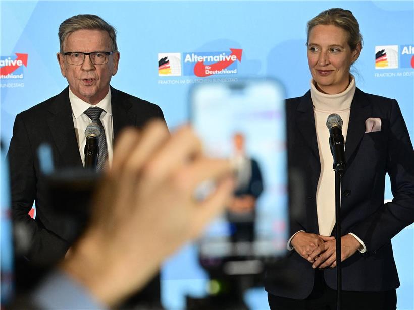 Junge Menschen diskutieren auf Social Media über die rechtspopulistische Partei Alternative für Deutschland (AfD).