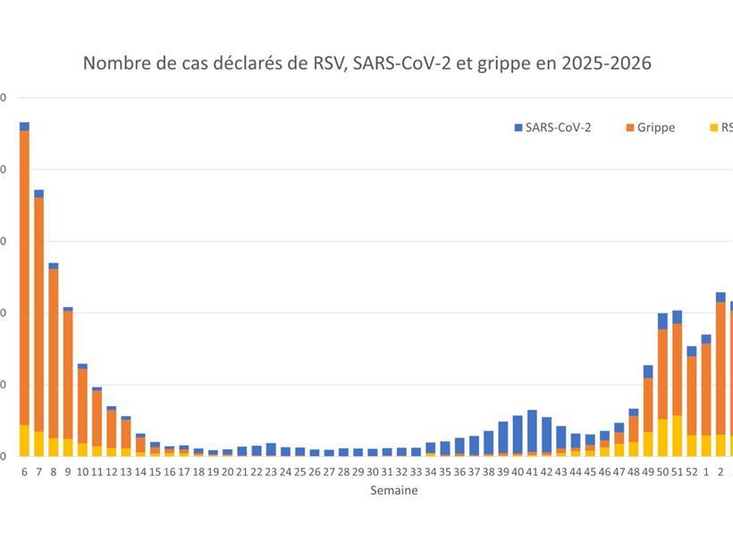 Diagramm zeigt gemeldete Fälle von RSV, Covid-19 und Grippe für die Saison 2025-2026 in Deutschland
