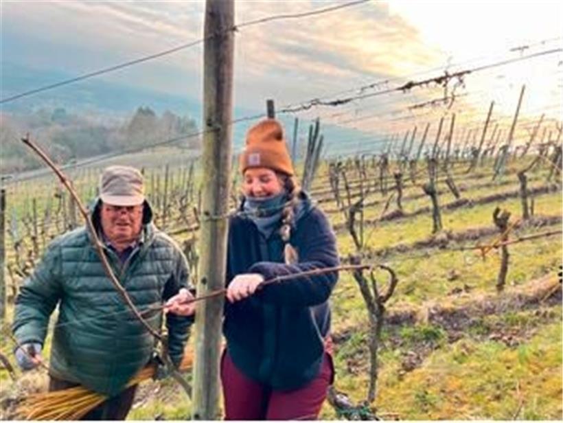 Harmonierten gut beim Rebenbinden: Antonio und Christelle
