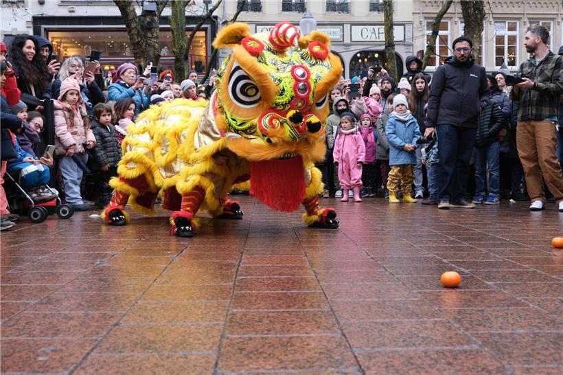 Chinesisches Neujahr 2026 in Luxemburg: Das Jahr des Feuerpferds bringt Bewegung in die Oberstadt Hunderte Besucher aus aller Welt versammeln sich auf der Plëss zur bunten Neujahrsparade im Freien
