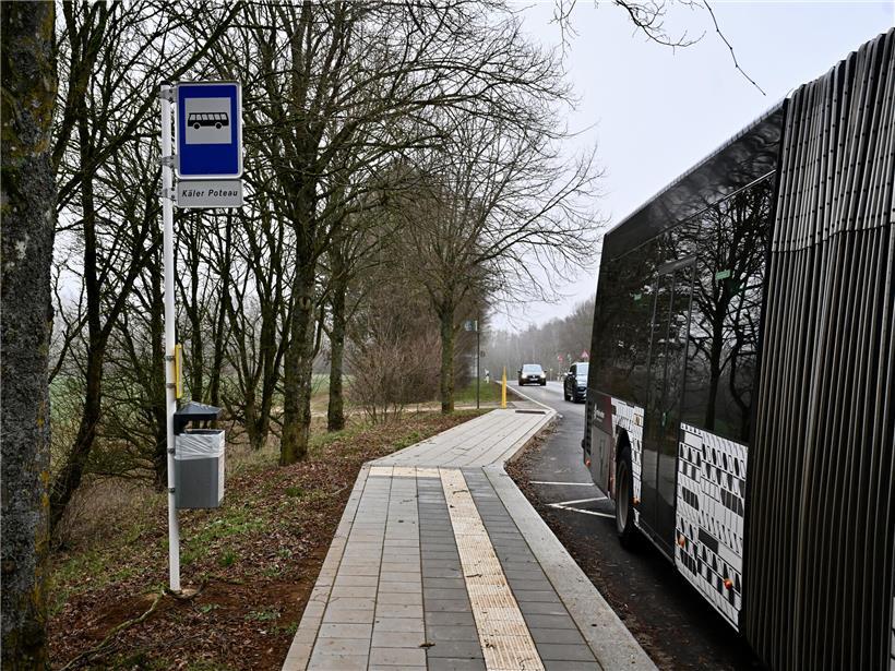 Straße in Fahrtrichtung Rümelingen und Kayl mit Bäumen und Verkehrszeichen bei klarem Himmel