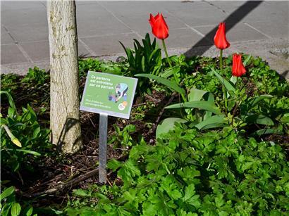Patenschaft für öffentliche Bäume in Luxemburg-Stadt, grüne Stadtpflege und Umweltschutz in urbanem Raum