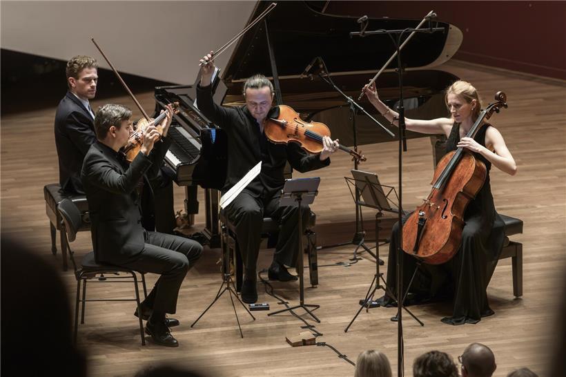Vier Musizierende begeistern das Publikum beim lebendigen Konzert des SEL mit mitreißender Live-Musik