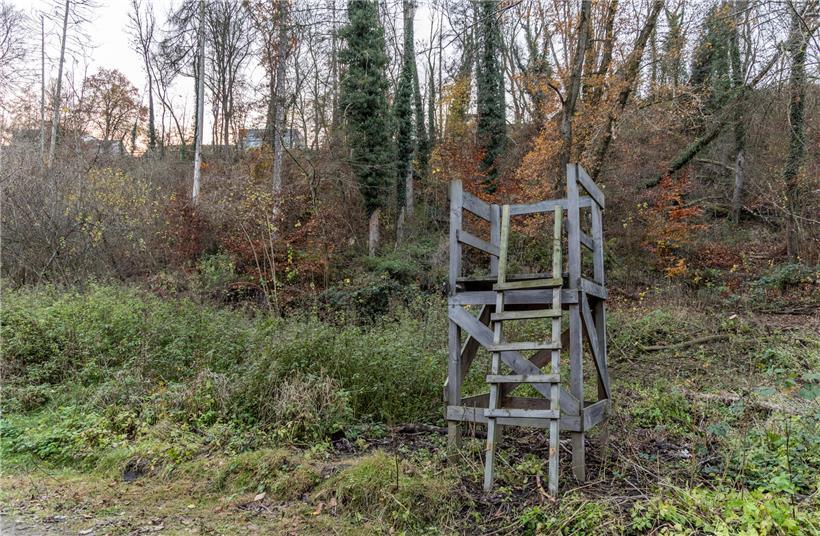 Jäger in dunkler Kleidung bei nächtlicher Wildbeobachtung im Wald für nachhaltige Jagd und Naturschutz