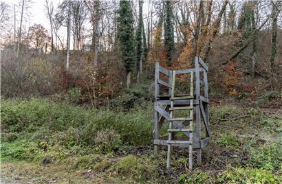 Jäger in dunkler Kleidung bei nächtlicher Wildbeobachtung im Wald für nachhaltige Jagd und Naturschutz