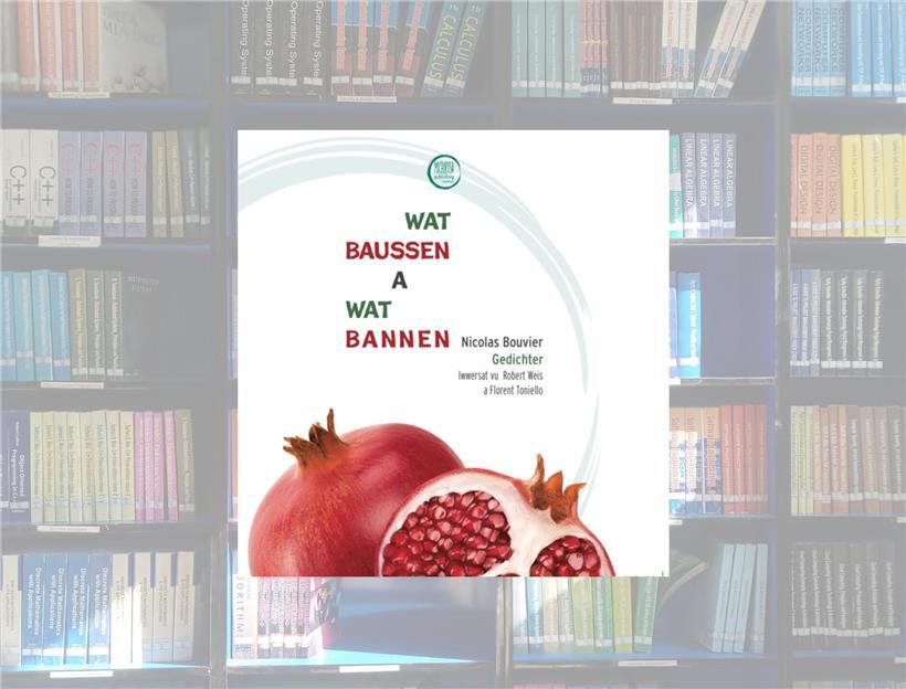 La couverture du livre „Wat baussen a wat bannen“, apparu en février chez Michikusa Publishing Luxembourg ASBL