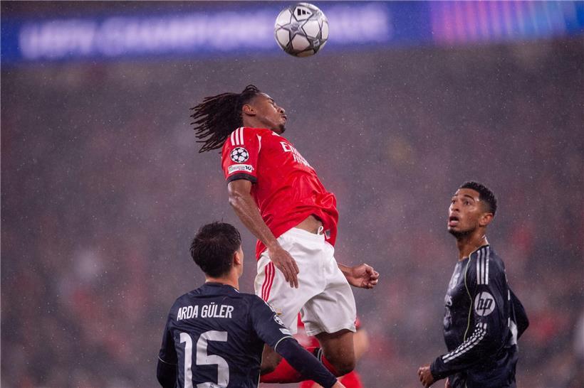 Leandro Barreiro im Benfica-Trikot beim ungeschlagenen Liga-Spiel, symbolisch für Erfolg und Teamstärke