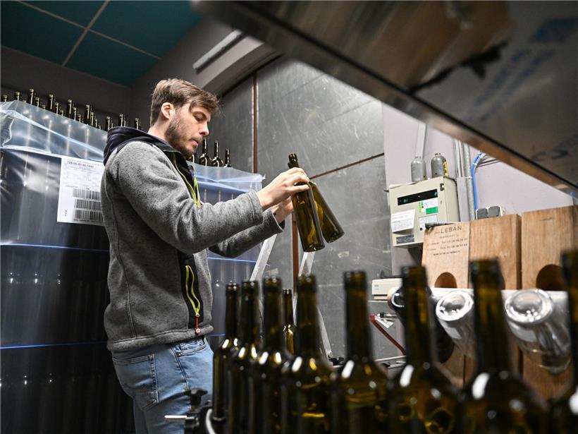Vom Tank in die Flasche: Unser Rivaner ist abgefüllt und fast bereit, verkostet zu werden