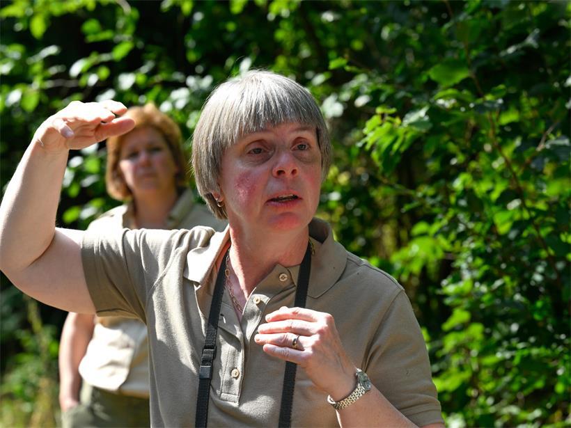 Martine Neuberg erklärt, woran man sterbende Bäume erkennt