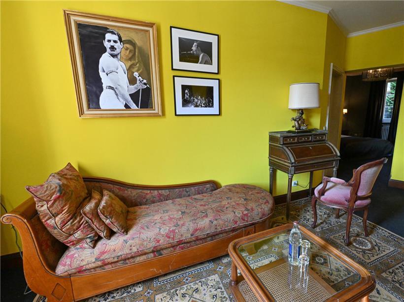 Freddie entspannt auf grauer Chaiselongue im modernen Wohnzimmer, gemütliche Einrichtung mit hellem Tageslicht