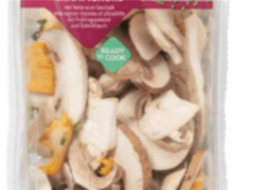Frischer Mix aus verschiedenen Champignons auf hellem Hintergrund, ideal für gesunde Pilzgerichte und Rezepte