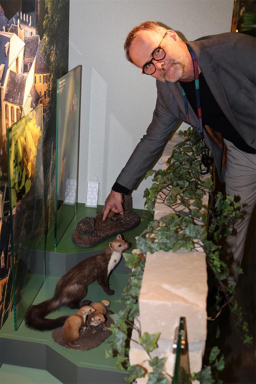 Museumsdirektor Patrick Michaely weist auf die entstandene Lücke hin