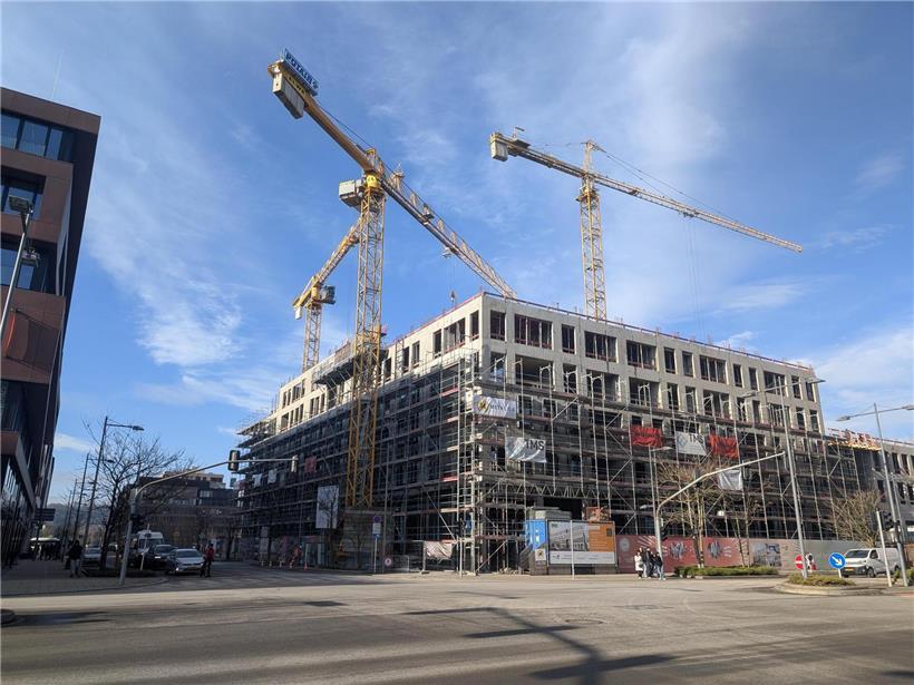 Gewerbeimmobilienmarkt 2025 mit steigender Vermietungsfläche nach historischem Tiefpunkt 2024 und Erholungstrends