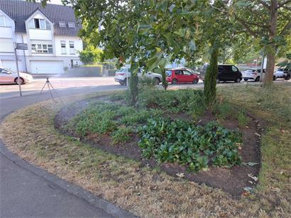 Öffentliche Pflanzen werden am Donnerstagmorgen bewässert, Bewässerung künftig nur noch in Ausnahmefällen erlaubt