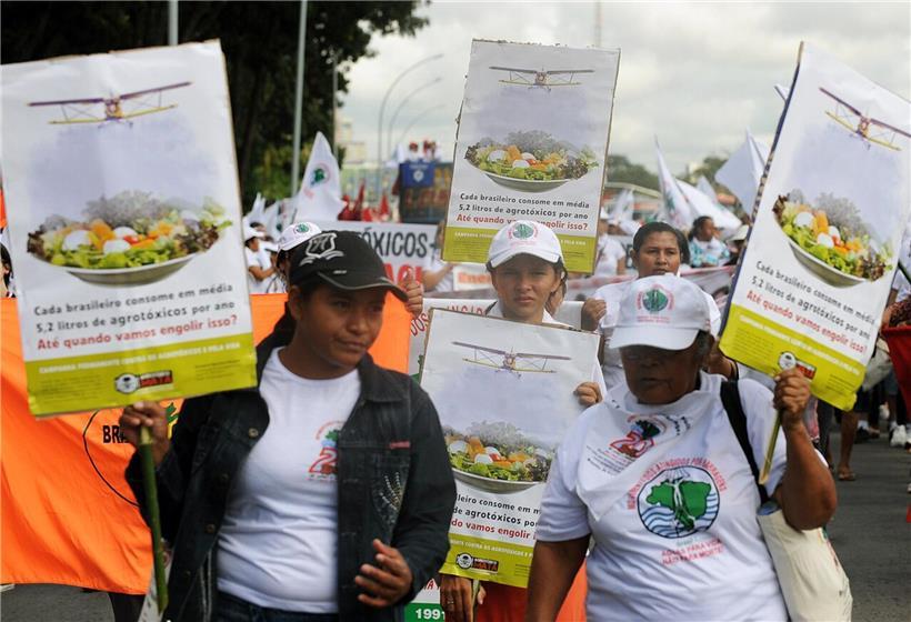 Protest in Brasilia gegen Agrotóxicos mit Demonstranten und Bannern für Umweltschutz und Gesundheitsschutz