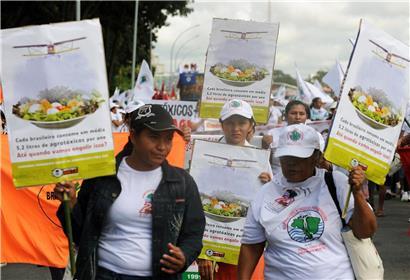 Protest in Brasilia gegen Agrotóxicos mit Demonstranten und Bannern für Umweltschutz und Gesundheitsschutz