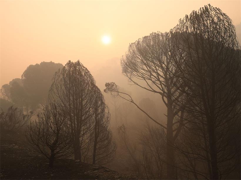 Rauch durch einen Waldbrand steigt auf. In Spanien kämpfen Einsatzkräfte seit Tagen unermüdlich gegen mehrere große Waldbrände