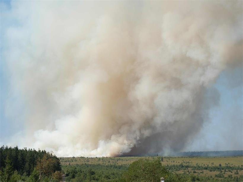 Rauchwolken steigen während eines Waldbrands im Naturschutzgebiet „Hautes Fagnes“ (Hohes Fenn) in Jalhay in den Himmel auf