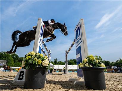 Reiter mit Pferden auf grüner Wiese symbolisieren verbesserte Bedingungen für Reitsport und Pferdehaltung