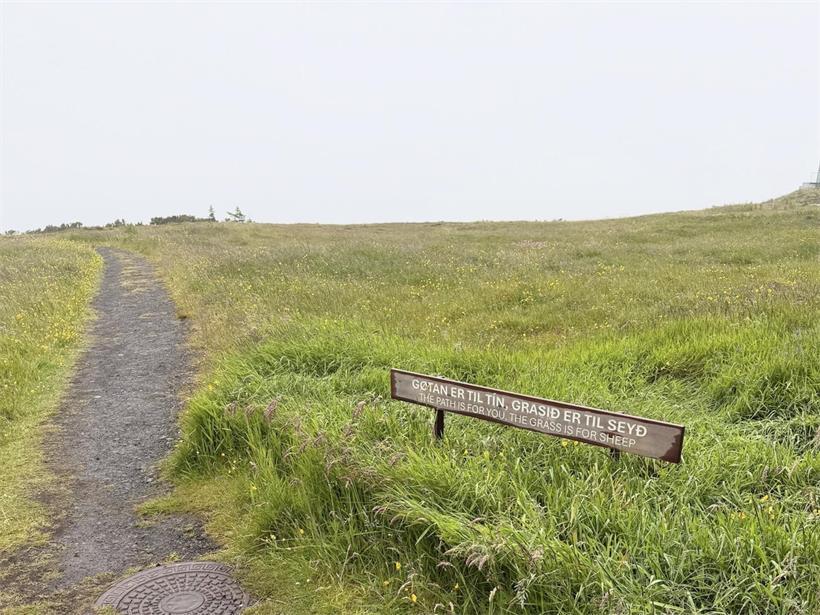 Leeres Feld ohne Schafe bei bewölktem Himmel, ruhige ländliche Landschaft ohne Tiere