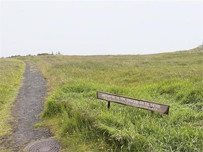 Leeres Feld ohne Schafe bei bewölktem Himmel, ruhige ländliche Landschaft ohne Tiere