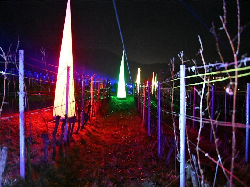 Bunt beleuchteter Weg zieht sich über fünf Kilometer durch malerische Weinberge bei Nacht