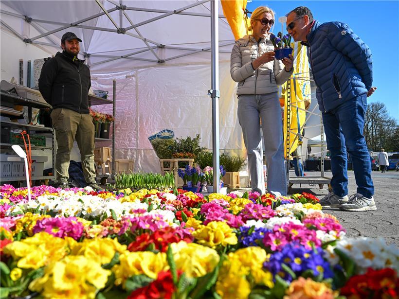 Frische bunte Blumen und regionale Produkte auf belebtem Markt in Luxemburg-Stadt kaufen