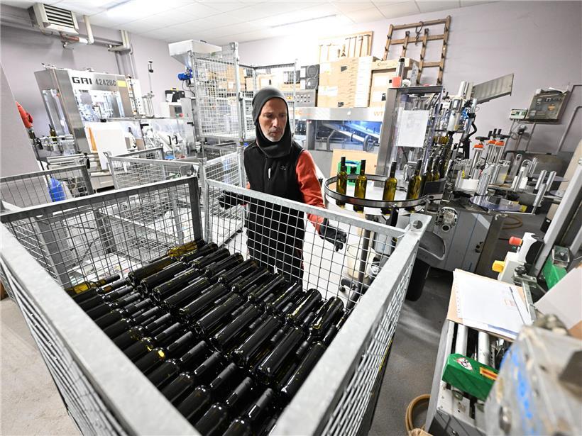 Vier Metallcontainer gefüllt mit Tagesblatt-Rivaner für Weinproduktion in moderner Kellerei