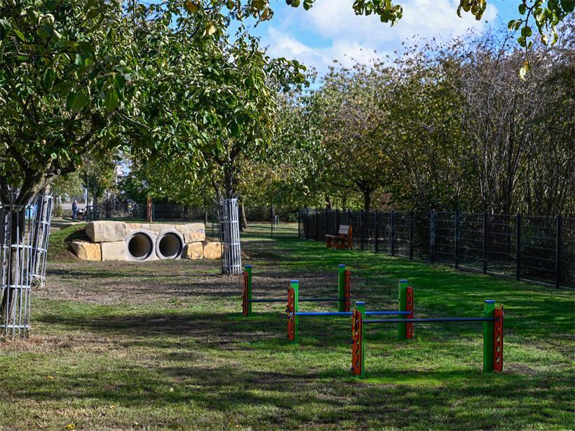Hier können sich Hunde austoben: Gemeinde eröffnet neuen Park in Raemerich