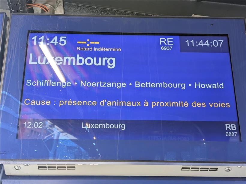 So (un)pünktlich sind die CFL-Züge nach Trier tatsächlich