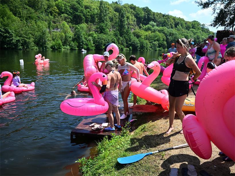 Der „Flamingo Flash Mob“ färbte den Campingplatz pink