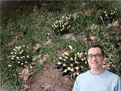 Zeigen sich nächste Woche die ersten Krokusse?