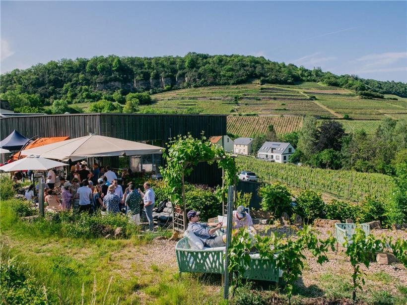 „Wine Taste Enjoy“ lädt an Pfingsten zu offenen Weingütern ein Stadtbesichtigung kombiniert mit Weinverkostung im entspannten Ambiente eines Weinguts
