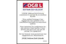 Anzeige